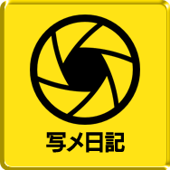 写メ日記