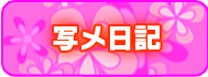 写メ日記