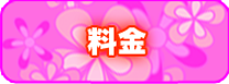 料金システム