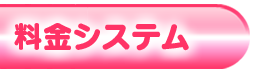 料金システム