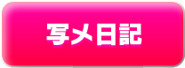 写メ日記