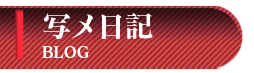 写メ日記