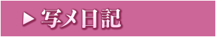 写メ日記