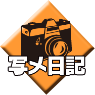 写メ日記