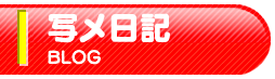 写メ日記