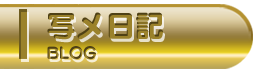 写メ日記