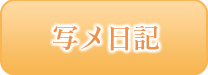 写メ日記