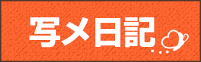 写メ日記