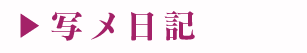 写メ日記