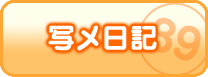 写メ日記