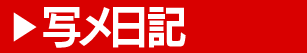写メ日記
