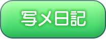 写メ日記