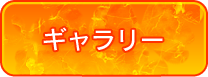 ギャラリー