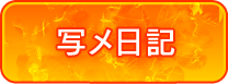 写メ日記