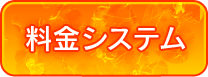 料金システム