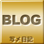 写メ日記
