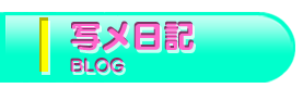 写メ日記