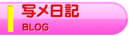 写メ日記