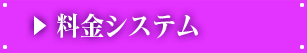 料金システム