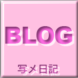 写メ日記