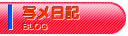 写メ日記