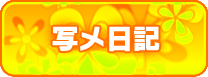 写メ日記