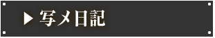 写メ日記